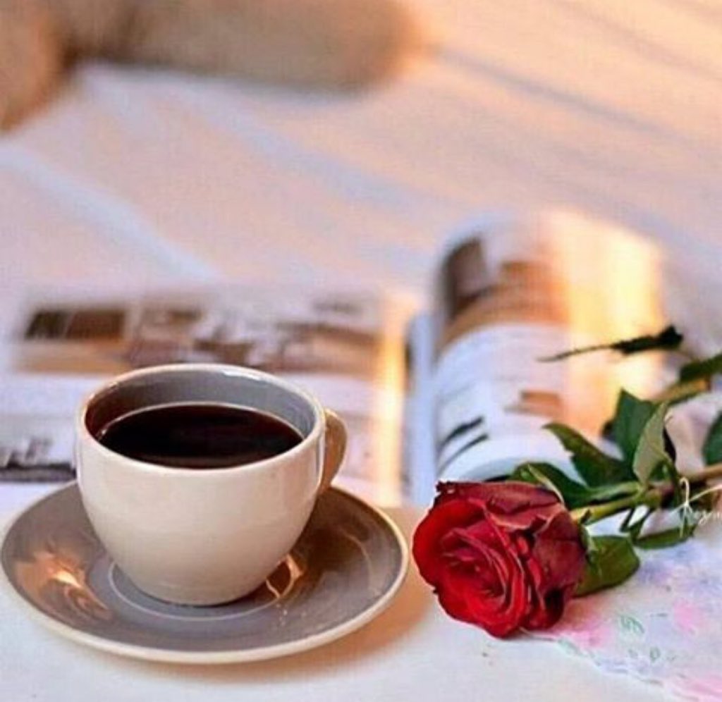 كن في الحياة كشارب القهوة يستمتع بها رغم مرارتها
الحياة السعيدة تتلخص بشيئين
قلبٌ قانع بالعطاء ونفس مطمئنةٌ بالقضاء

#جوزيف