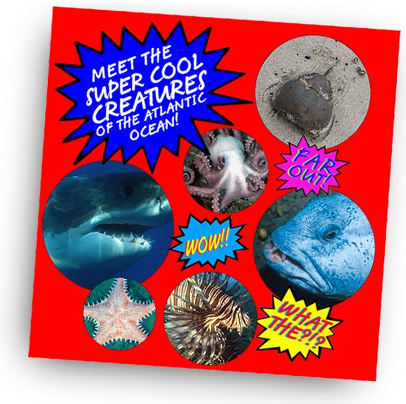 COASTSWEEP's tweet photo. These #creatures don't need costumes, but they do need clean oceans. Thanks #volunteers for reducing #MarineDebris! https://t.co/LyiiDWJA6i https://t.co/WZUgTsGN0I