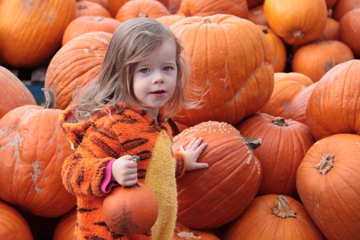 Happy Halloween from our Creative Director's adorable daughter!