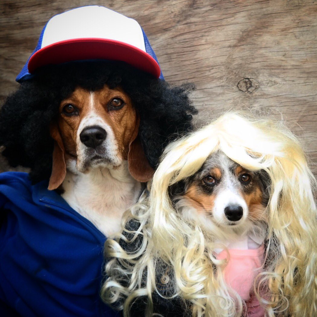 maximilentine's tweet photo. Our Halloween gonna be an eleven outta ten 🎃👽🙌 #HappyHalloween #StrangerThings https://t.co/0xkDKJ5eQW