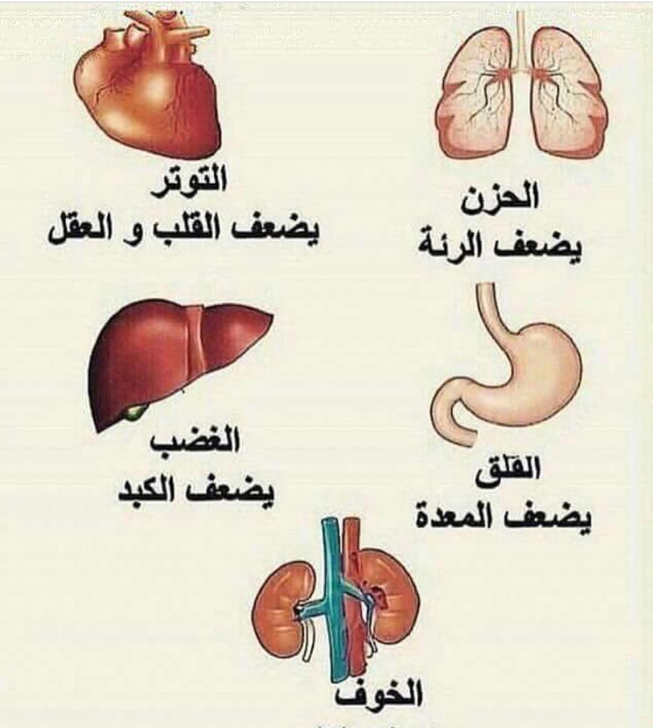 عازفة الأمل😇 (@hhsseen976) on Twitter photo 