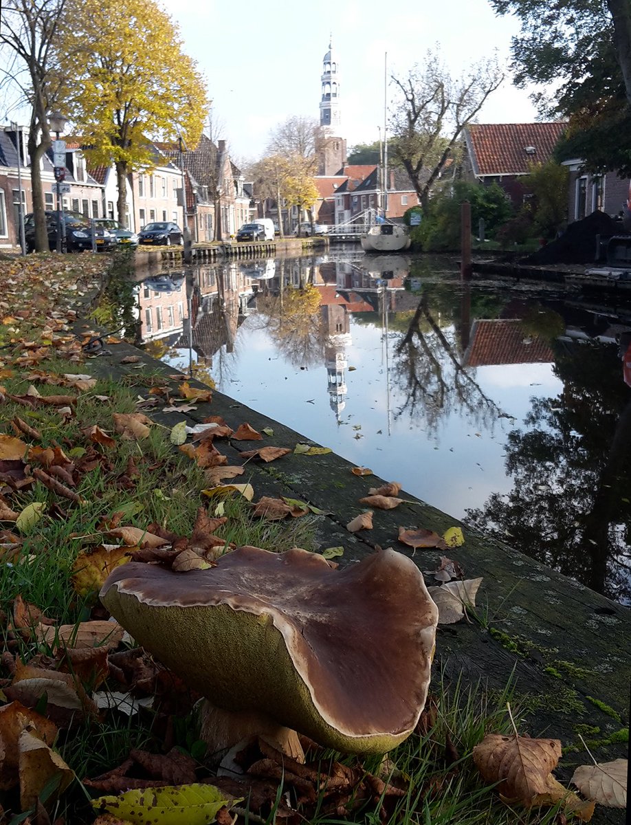 Enorm gezwam in <a href="/DoarpAldeboarn/">Doarp Aldeboarn</a>