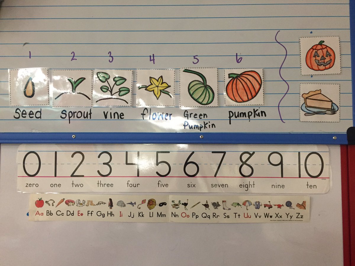 Learning all about pumpkins in kindergarten🎃 #kindergartenfun #pumpkinlifecycle @FMPSD @DrClarkSchool @FMPSDEarlyLearn @ashleybanez