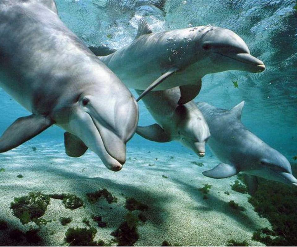 BeachInfoSea's tweet photo. Hello! https://t.co/AkNrUeSPk3