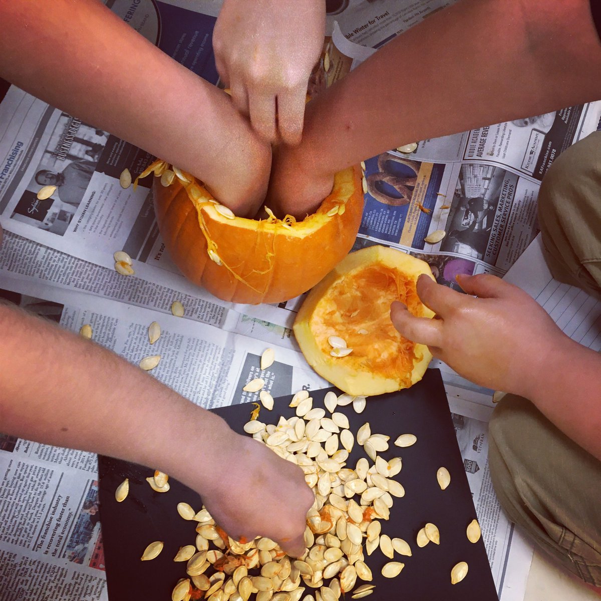 molly_rommel's tweet photo. Pumpkin investigations using the scientific process and counting skills! https://t.co/9eSNqhHYYU