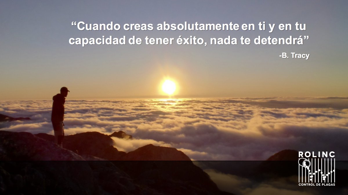 RolincMx's tweet photo. #FelizLunes Deseamos que tengan un extraordinario inicio de semana. https://t.co/B7QIj8PJ2d