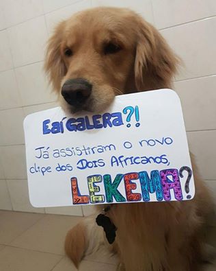 doisafricanos's tweet photo. Só para continuar na vibe! O Taylor voltou!!
Veja o clipe LEKEMA=> https://t.co/DPElMUUn6s 
 #doisafricanos #lekema #clipe #taylor #producao https://t.co/CmVPMcyoPF
