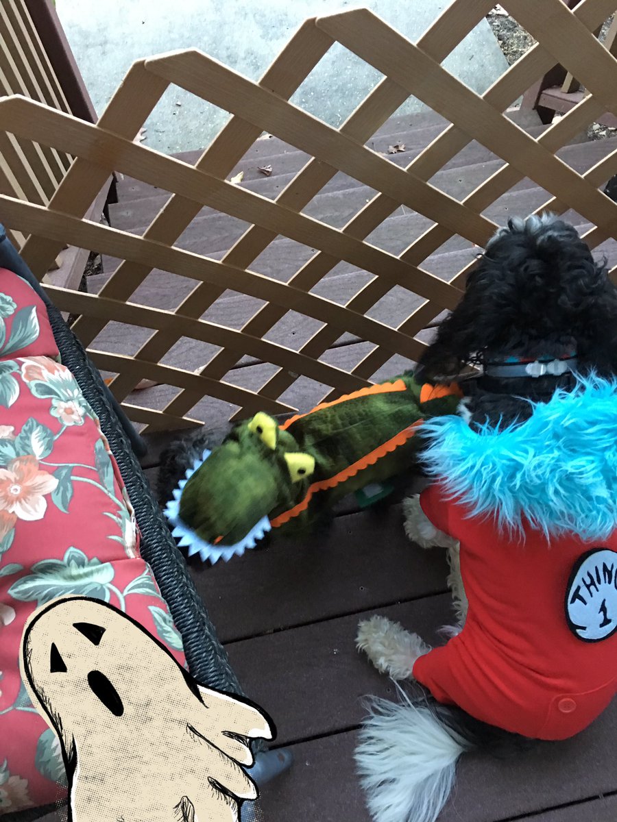 TDeLuce's tweet photo. Dexter's 2nd and Ollie's first Halloween!!!!! https://t.co/6ipl5YHmhm