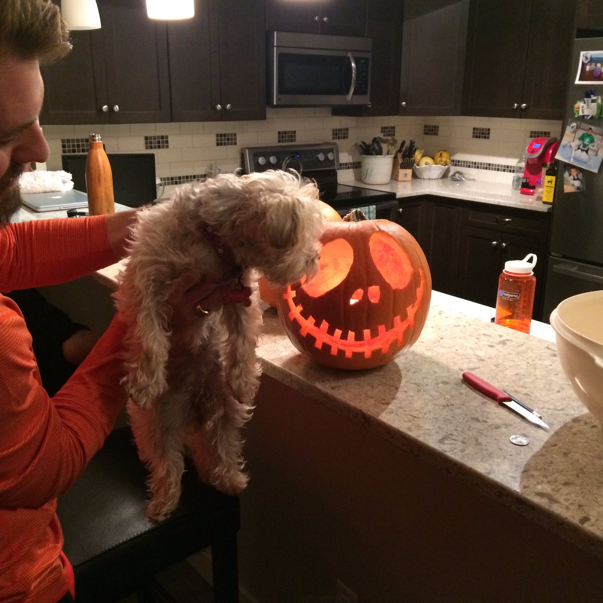 adrienap's tweet photo. Halloween art. Stu did the work. Yellowknife Halloween at -12 and blowing snow. https://t.co/VJ9T063gVC