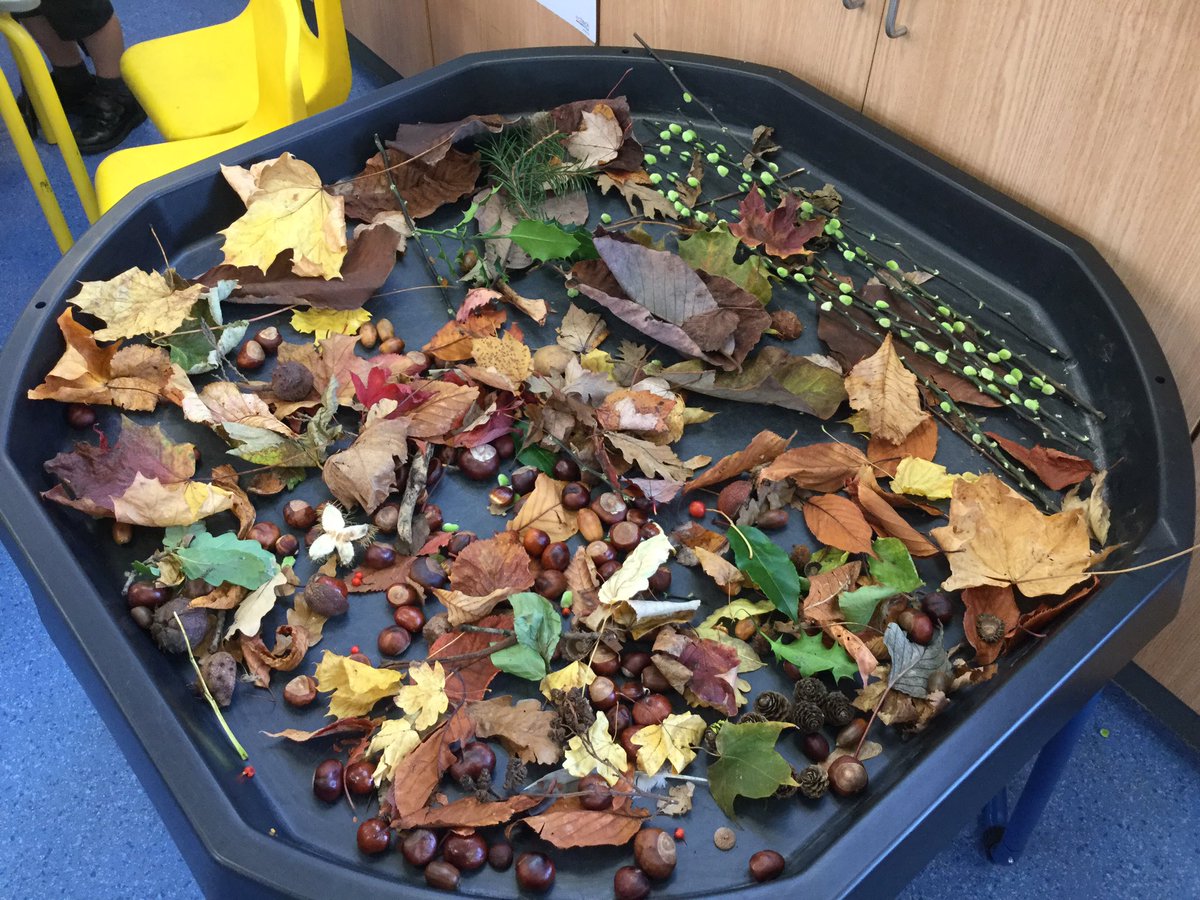 Markland Hill School tweet media