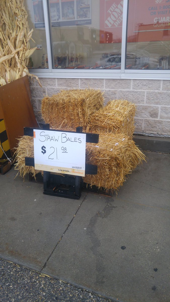 Why am i trying so hard to sell my cheap wheat, i could just sell the straw!