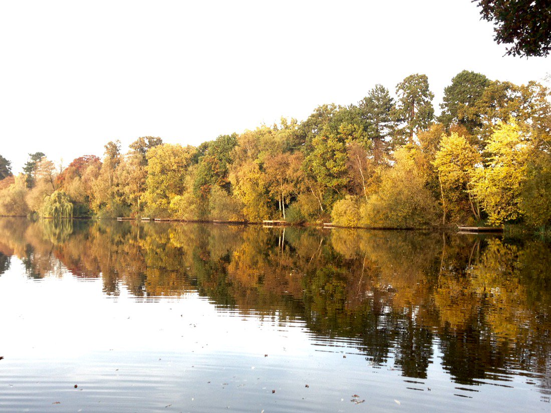 The Isle Estate tweet media