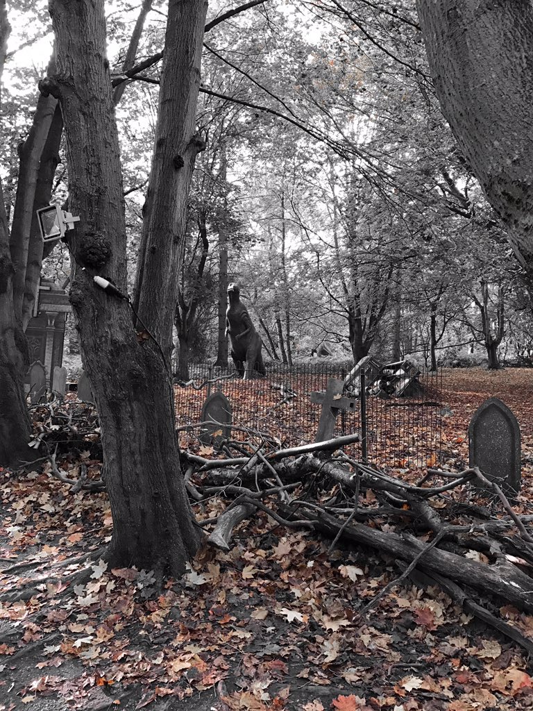 lady4rd's tweet photo. #dinosauradventure #Norwich #halloween https://t.co/jnAceP4SQD