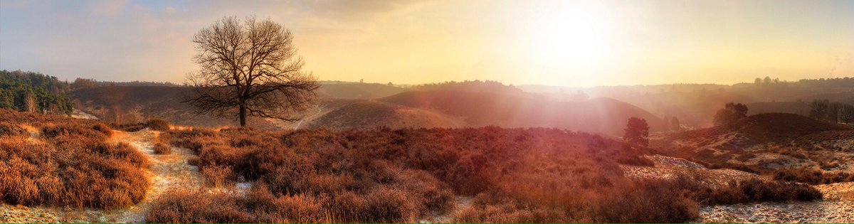 Trots op behalen van deze 2e plek als #mooistenatuurgebiedvanNederland <a href="/mooistenatuur/">Mooiste Natuurgebied</a> #DeVeluwe