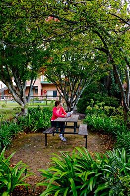 LutandaAU's tweet photo. Lutanda #MtVictoria is the perfect place for your next Yr11/Yr12 school retreat. https://t.co/LXziniCNvt for more information. #lutandacamps https://t.co/gSzbi07g1p