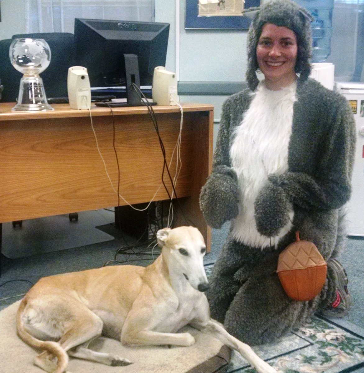 GREY2KUSA's tweet photo. A giant squirrel named Cara just came and visited Gina the greyhound! https://t.co/y7Wwbj2FP9