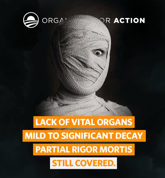 Colorado Obamacare Marketplace Misused $9 Million In Grant Funds