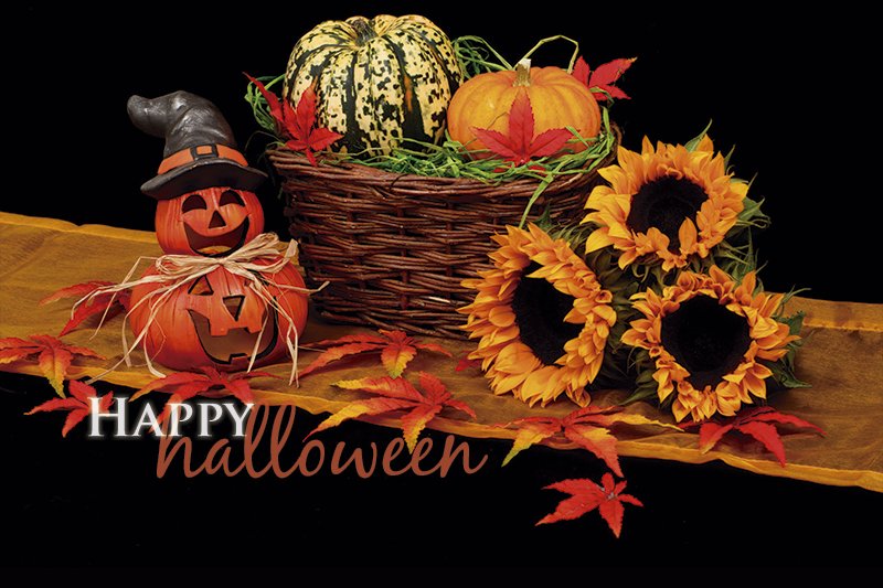 BoutiquePRC's tweet photo. A little bit of history ��� https://t.co/8lBFsl5E1d
#ABoutiquePRC #HappyHalloween #RivieraNayarit #PuertoVallarta https://t.co/Vuxty10GIK