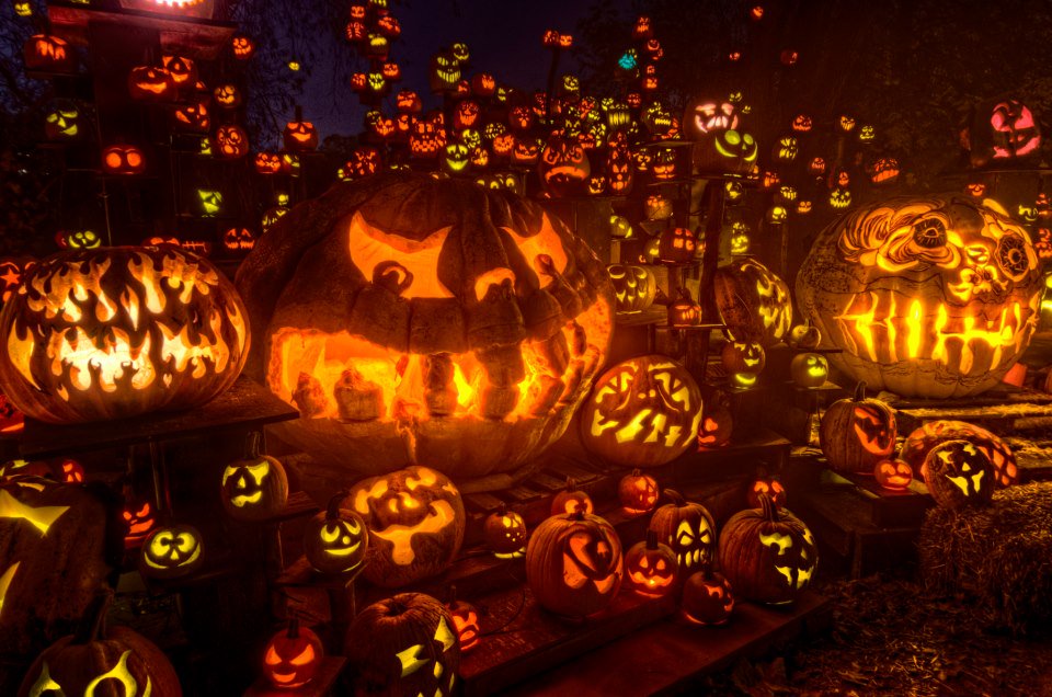 yaybig's tweet photo. Boo! Happy Halloween from Yay Big 🎃👻 https://t.co/xqgJV1TD3Z