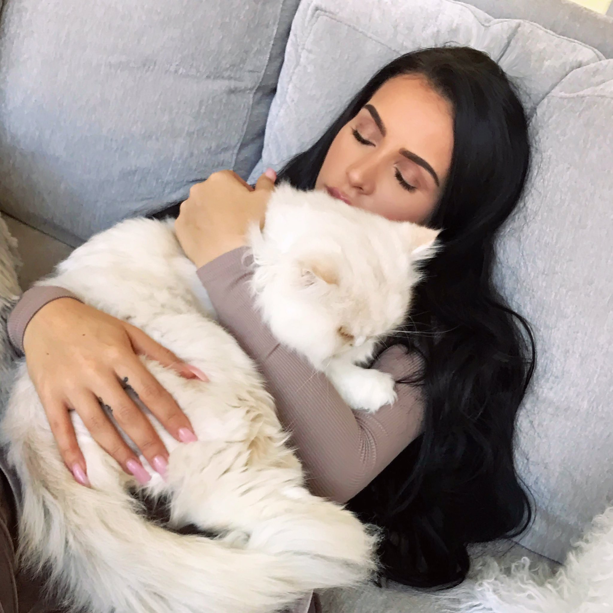 carli bybel on Twitter "Bear slept on me like this for almost 30 mins