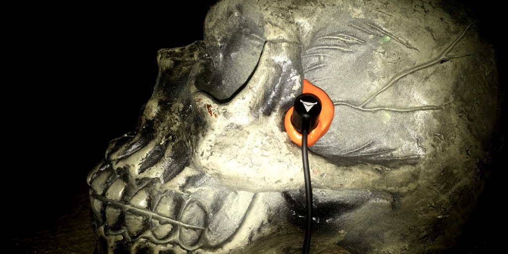 decibullz's tweet photo. That is what we call a scary good fit! #HappyHalloween #Decibullz https://t.co/wauROagtBh