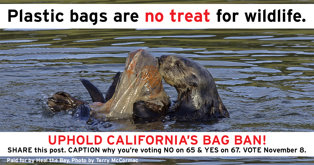 HealTheBay's tweet photo. RETWEET this &amp; add a caption of your own to enter our #BAGTAG sweepstakes. For rules &amp; more info: https://t.co/aoQ8GDmFaO https://t.co/PQMckIVtsc