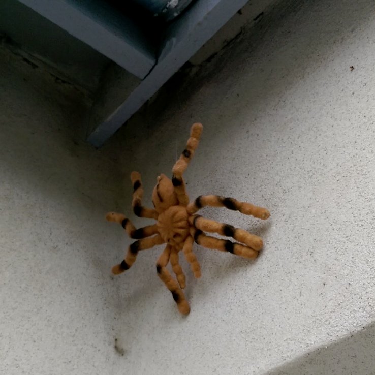 mhoybyef's tweet photo. Trick and treat: Door bell triggered spider for scaring kids, powered by @Raspberry_Pi, a servo and mqttwarn by @jpmens et al. #halloween https://t.co/6n1uNSlgcJ