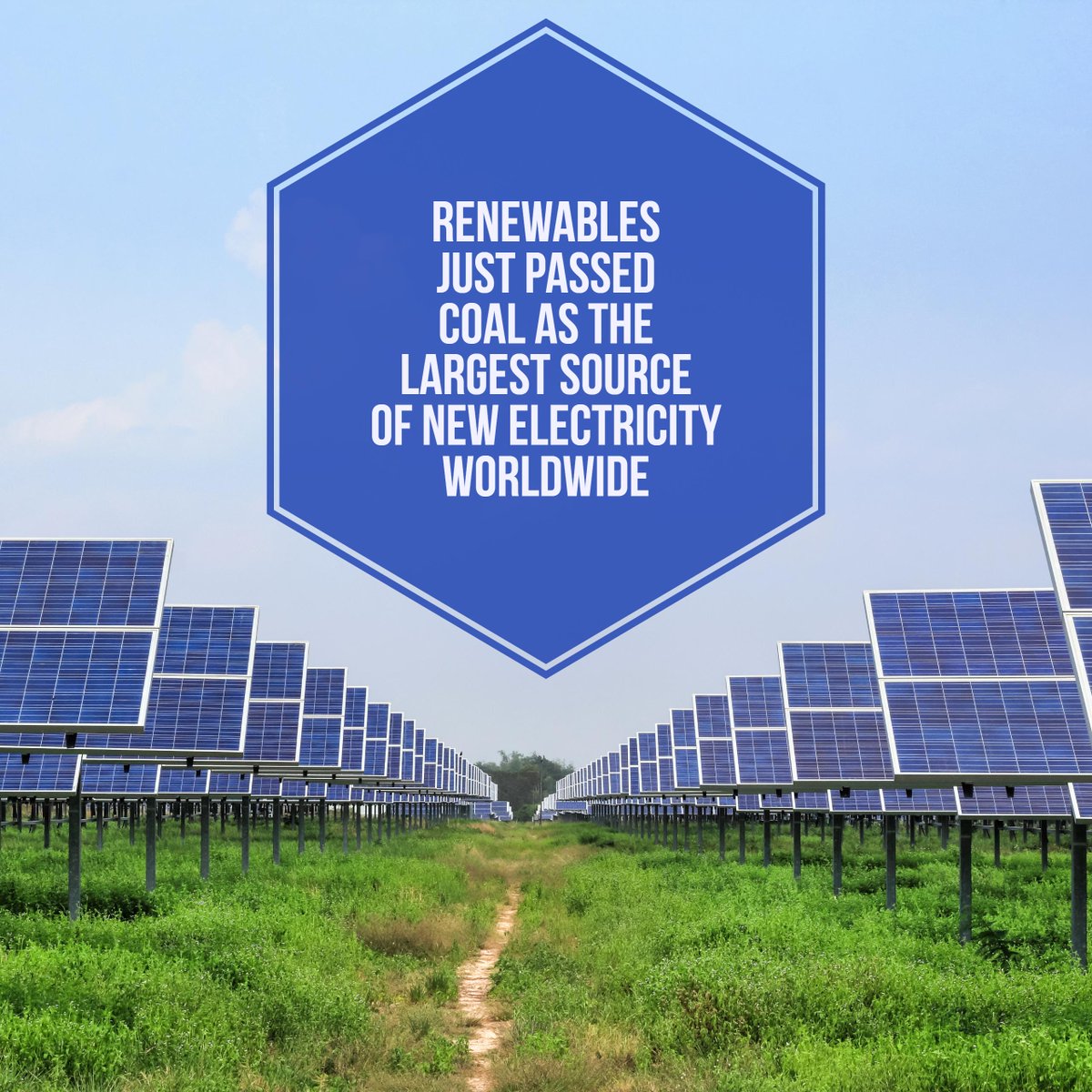 staten_solar's tweet photo. Renewable Energy Surpasses Coal As World’s #1 New Source Of Power: https://t.co/ujIMpoBXm6
#StatenSolar #SolarIsNow #CoalIsBehind https://t.co/J6FeaEweQD