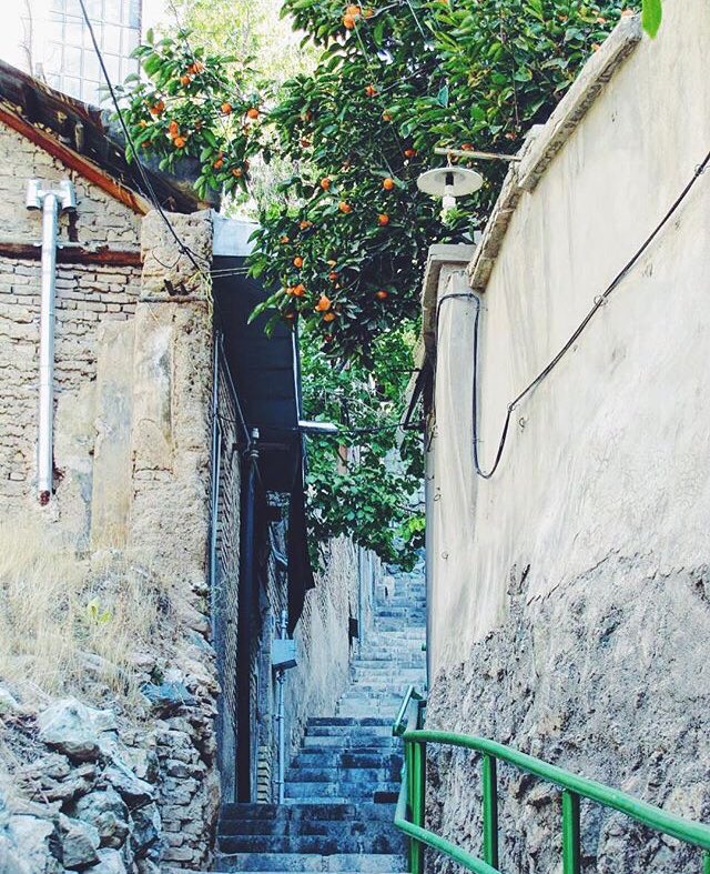 Iran_Style's tweet photo. Hiking on the mountain steps of a #KouchehBagh next to a #persimmon #orchard in historical #Darband, #Tehran! #Peeyade #Razieh #Iran #travel https://t.co/5ewvP9FDGc