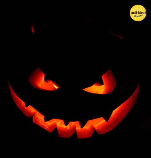 calikinddirect's tweet photo. Happy Halloween! https://t.co/MrnfPRUIRV