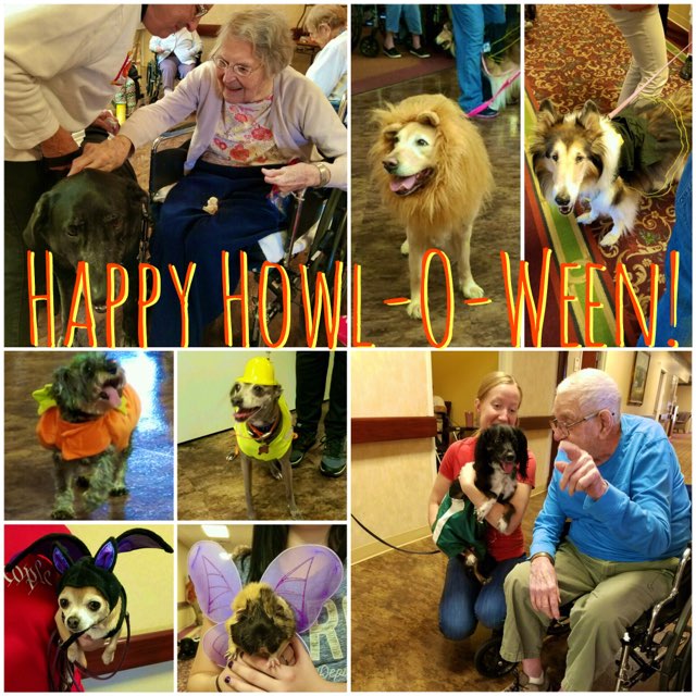 Happy Howl-O-Ween!