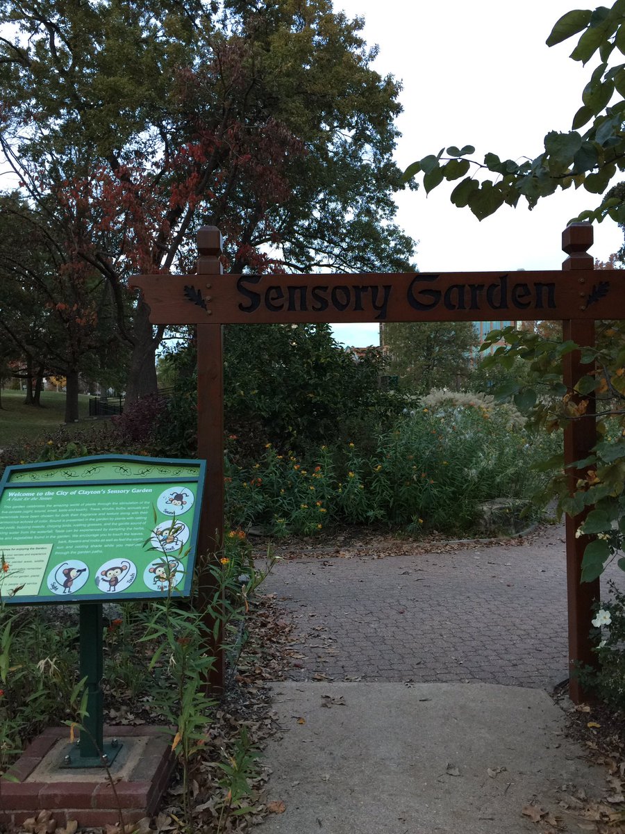 cariandanthony's tweet photo. Loving the sensory garden at Shaw Park! @greenbilliken #SLUintheCity #SLUgreen16 #carpool 💚💚💚 https://t.co/WShvR9jE1Z