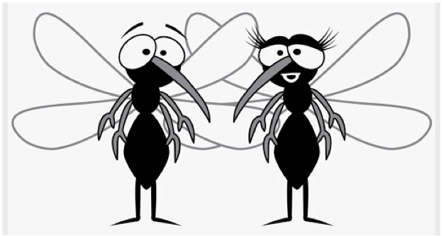 Mosquito Shield tweet media