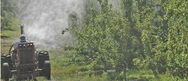 WSac farmers to pay sanctions after spraying workers with pesticides ~ bit.ly/2fozVvk