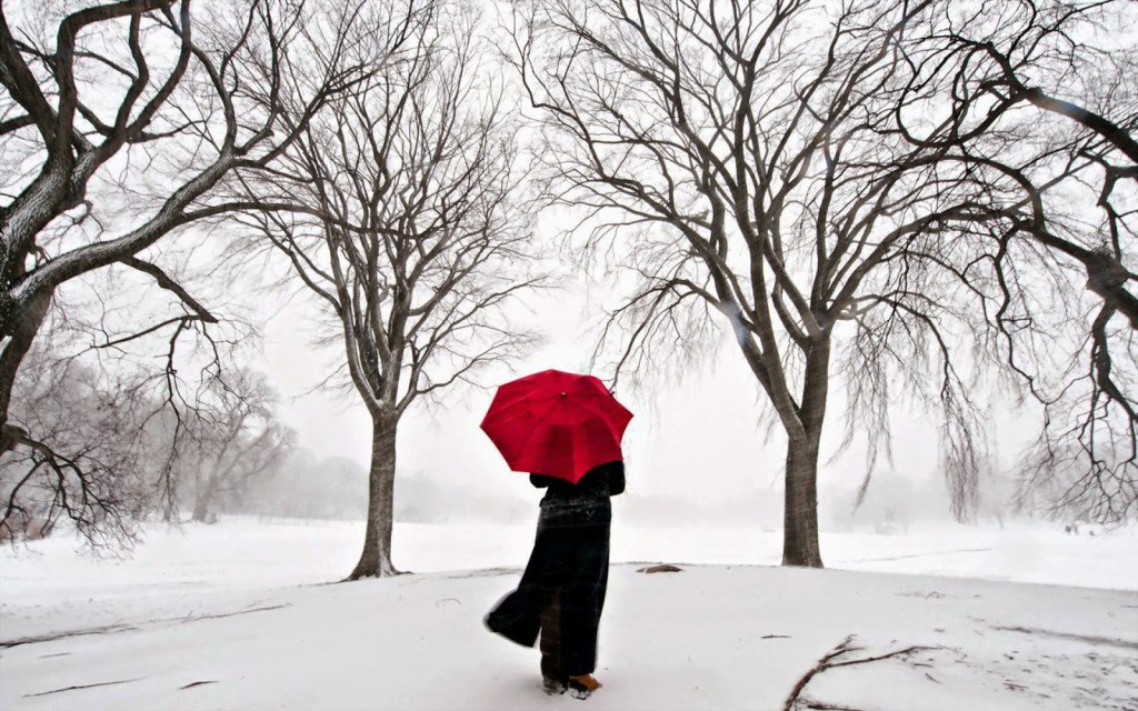 SWOP Bay Area tweet media