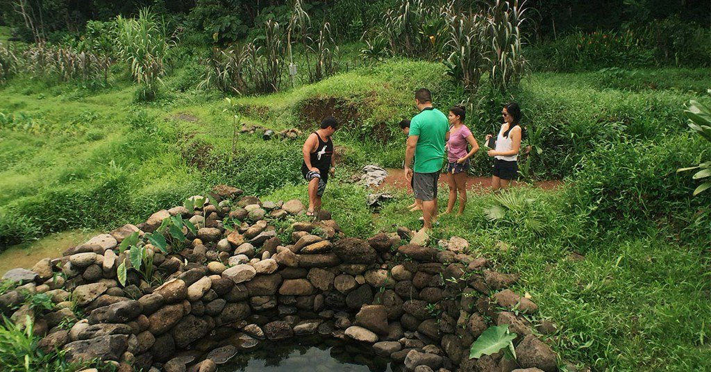Go on a seaweed scavenger hunt with Honolulu chef <a href="/musubman/">GOOCH</a> bit.ly/2et4Bqn