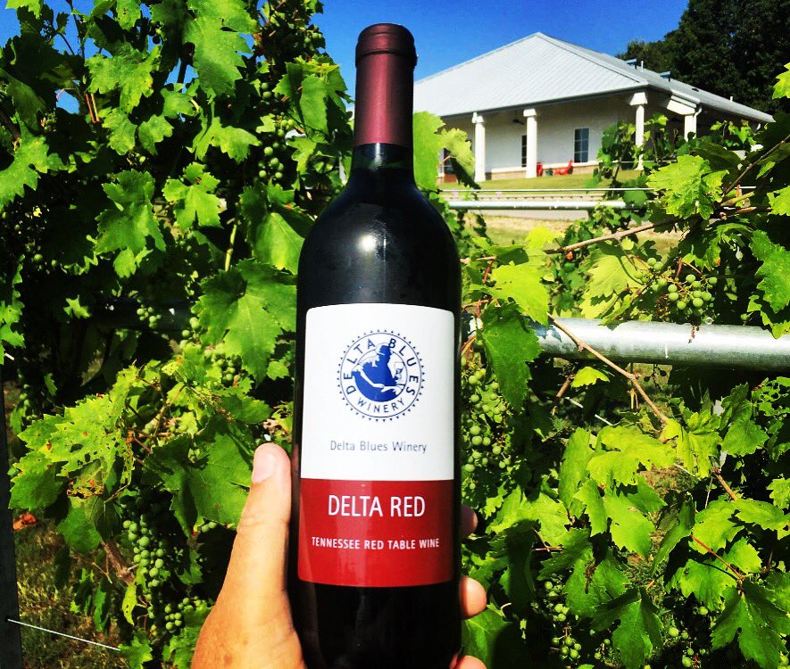 Hey parents of young ones on sugar highs. We're pouring this one for you. Happy Hallo-wine. #GoodFoodRevival