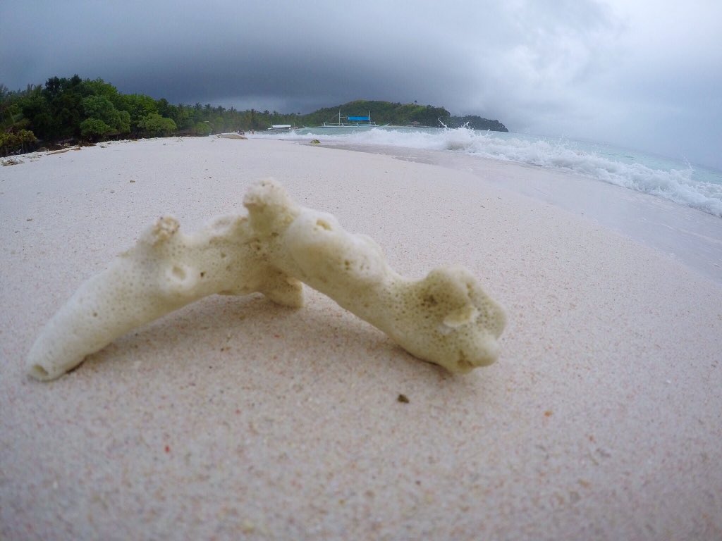 roy_wanders's tweet photo. The calm before the storm π§
#TravelingInStyle #RoyTravels #Wanderlust #GoProDiaries #Bicol #Sorsogon #SubicBeach https://t.co/Pv1yxjj9Bg