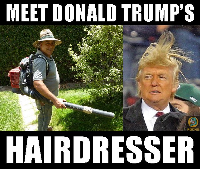 proleafblowers's tweet photo. Guess who uses leaf blowers? @realDonaldTrump https://t.co/KQ2OlydscB