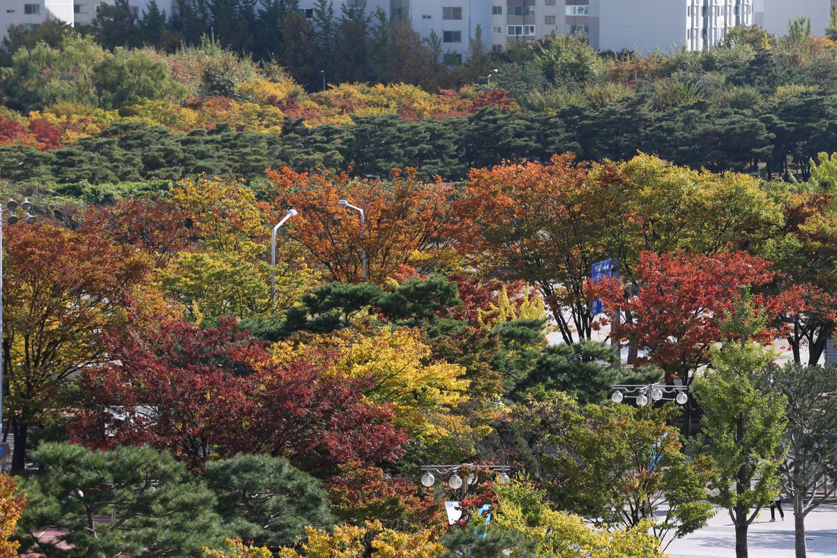 벌써 11월...쩝ㅠㅠ
하루하루 후회를 남기지 말고,
사랑하는데 이유를 달지 말고
너님의 페이스로
꾸준히 성장하는 11월이 되썹!!

참,핸썹인 언제나 너님들의 편에 서 있는거 알죠?