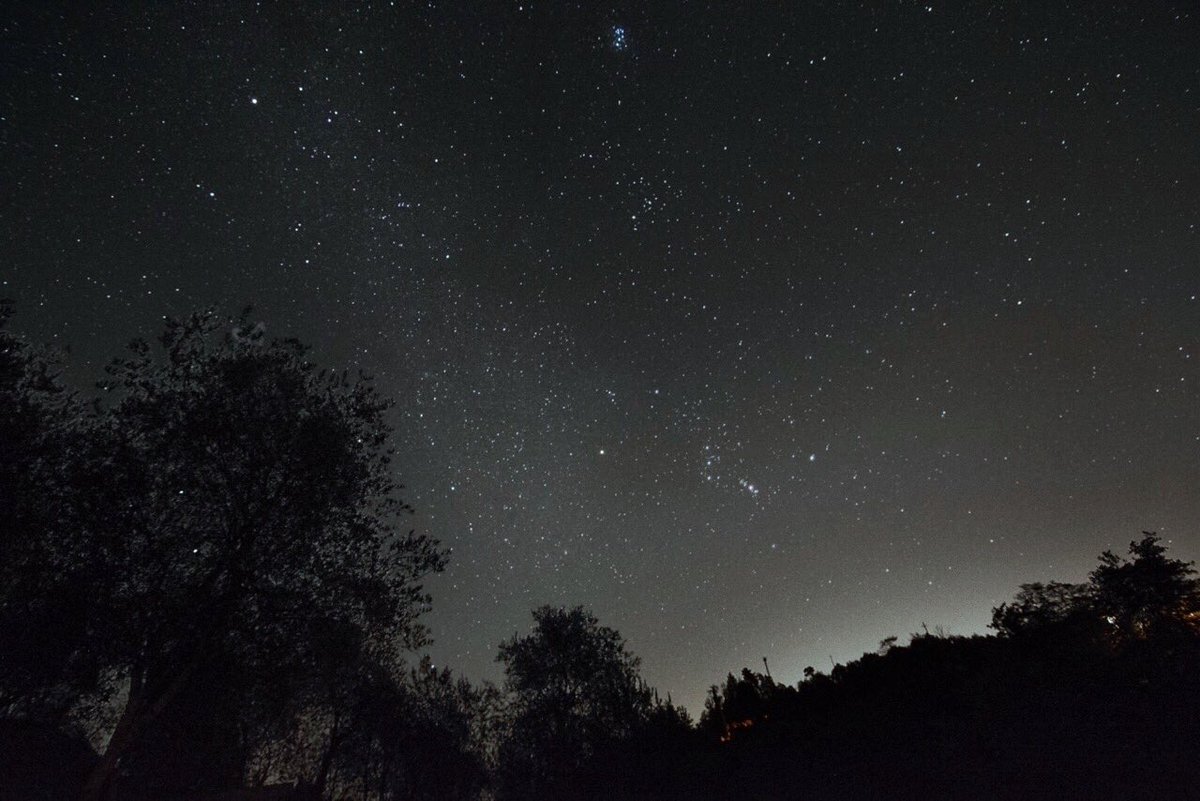 Pietro Francia (@pietro_francia) on Twitter photo Autumn constellations, #Orion and the #Pleiades from #Cinqueterre, Italy. Nikon D7100, Nikon 12-24 mm f/4. <a href="/TheUniverse_TM/">The Universe</a> Autumn constellations, #Orion and the #Pleiades from #Cinqueterre, Italy. Nikon D7100, Nikon 12-24 mm f/4. <a href="/TheUniverse_TM/">The Universe</a>