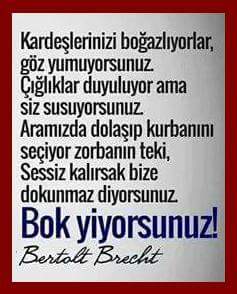 denizgibi (@ygtdnztlg) on Twitter photo 