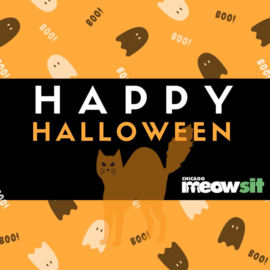 meowsit's tweet photo. Happy Halloween! #chicagopets #meowsit #catsitting https://t.co/pXgVAwvpy0