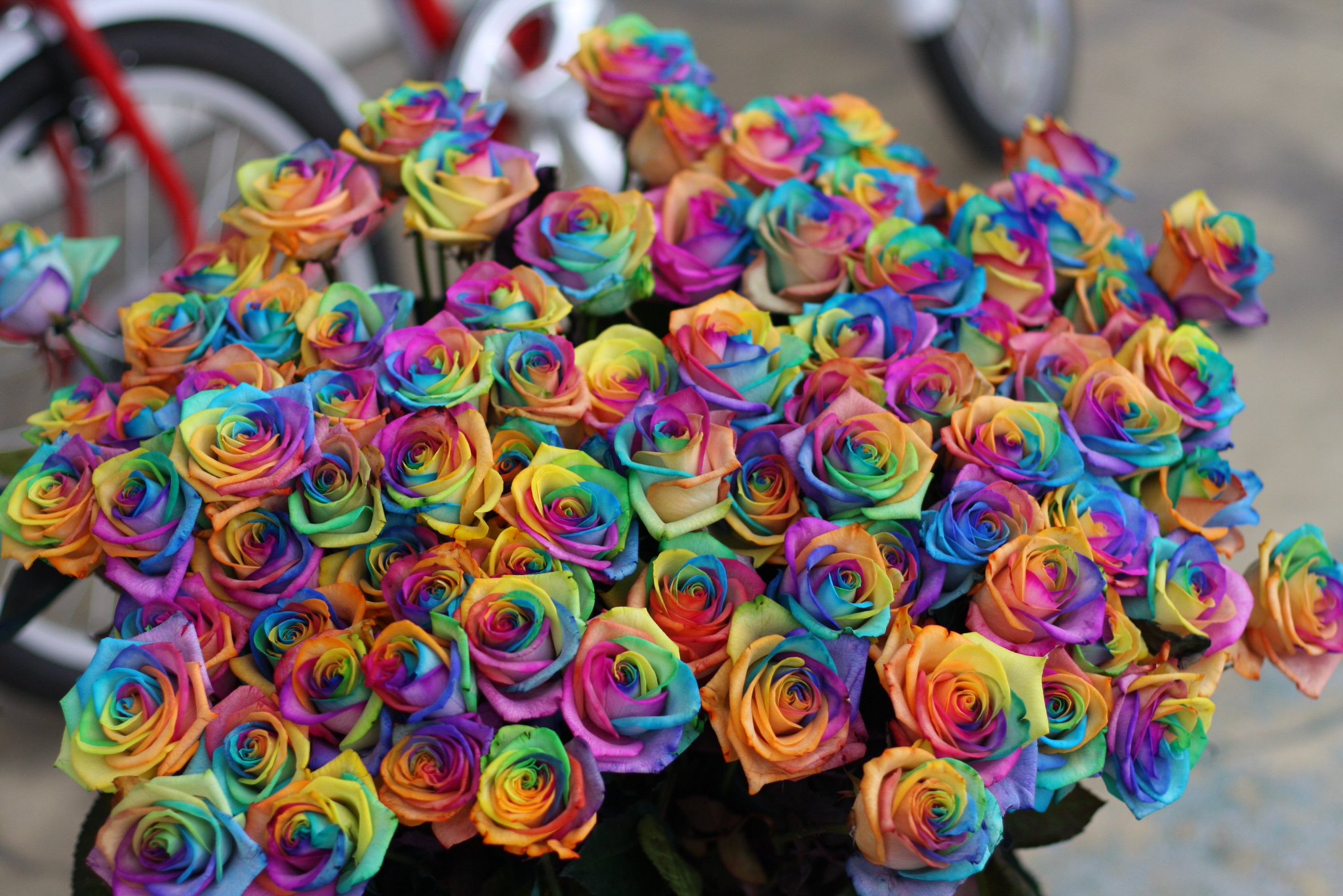 ローズショップ レインボーローズの花言葉は奇跡 レインボーローズ全国即日配送0266 28 11 T Co Gv5jrnhxtz レインボーローズ 虹色の花 花言葉 奇跡 虹色 珍しいバラ