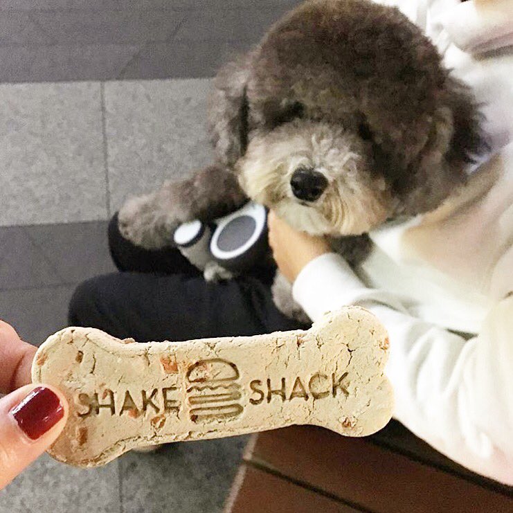 Shake Shack Korea tweet media