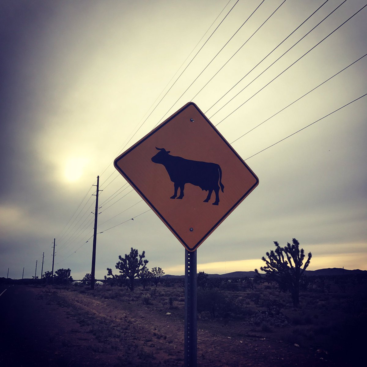 Somewhere far away from here