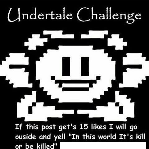 Neko Cherry (@chara_the_cat_) on Twitter photo 