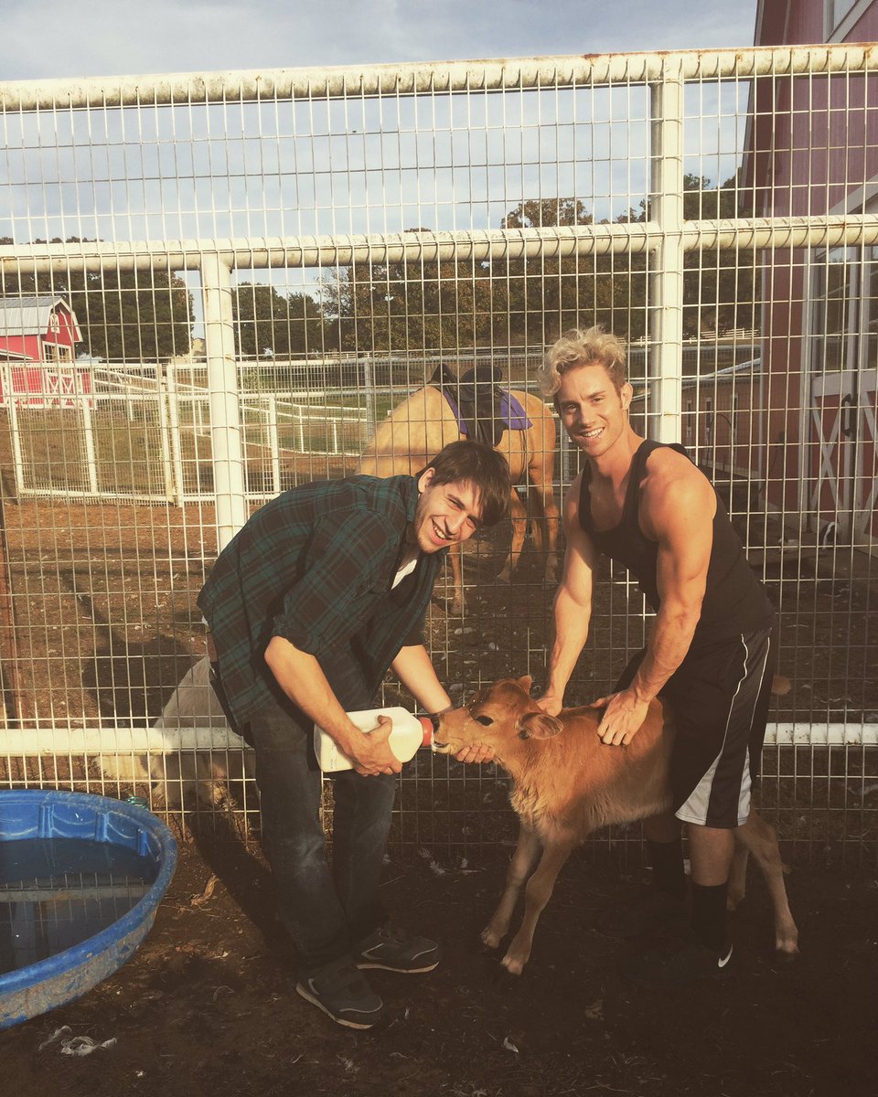 TheRoadsBelow's tweet photo. Work day two. 
Bottle feeding a baby calf. #theroadsbelow #farmlife https://t.co/bAmylOiRBQ