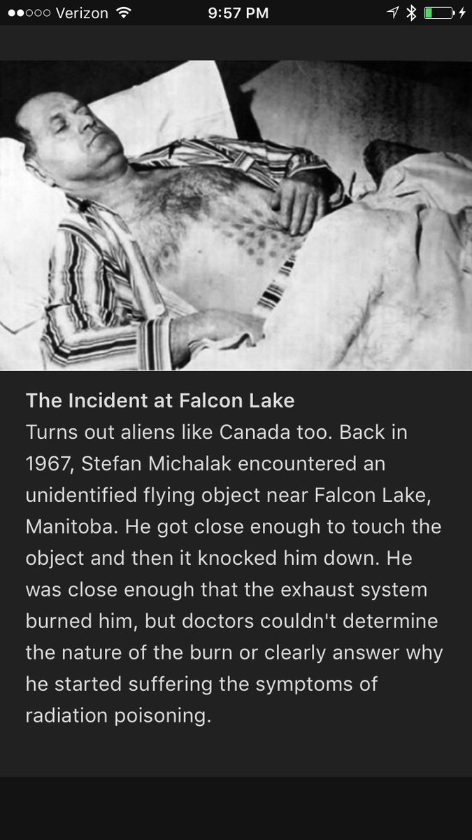 RonanKeary's tweet photo. @StefMichalak My wife was watching your blog on YouTube.  I was scrolling through the Chive app at the same time and this popped up. Weird https://t.co/I0REZHah0P