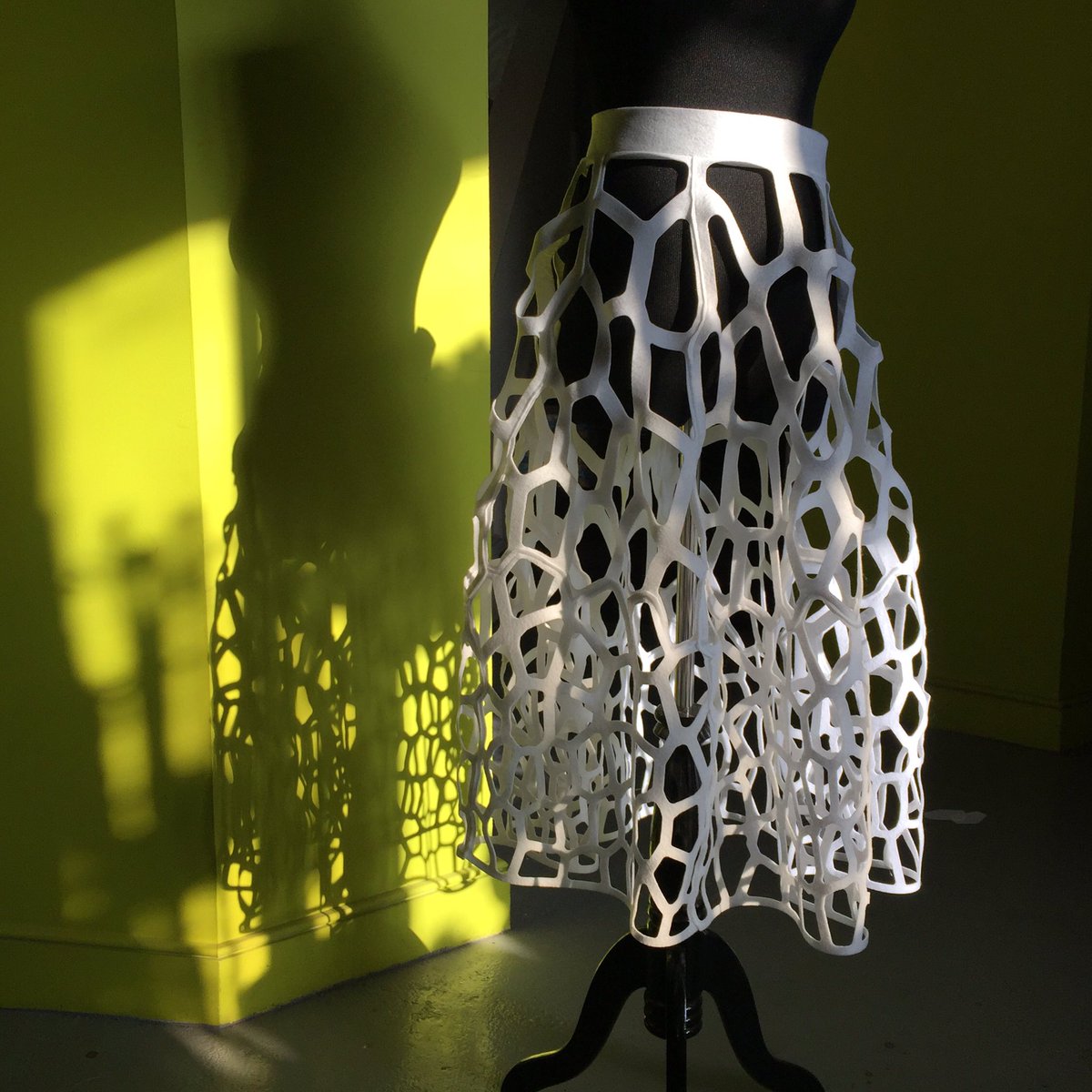 Jessica Rosenkrantz I Made A Bridal Veil Mushroom Costume For Halloween Fungi Jeff Cremer Jessica Rosenkrantz I Made A Bridal Veil Mushroom Costume For Halloween Fungi Jeff Cremer